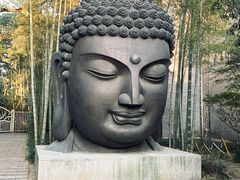-杭州植物园