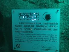 -盛之乡温泉渡假村仕林餐厅