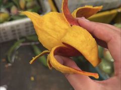 -新鸿港水果市场