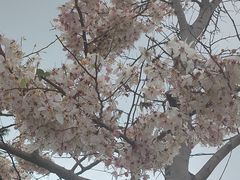 -白石龙音乐公园