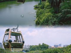 -广州长隆野生动物世界