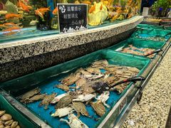 -初色海鲜自助(万丰路店)