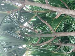 -南通洲际绿博园