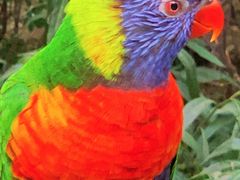 -南宫五洲植物乐园