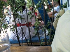 -Sirena海妖日咖夜酒