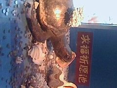 -苏州海洋馆