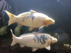 -青木造型HAIR·あおき髪を刈る潮人店