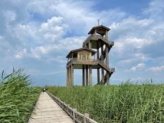 -野鸭湖国家湿地公园