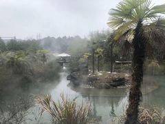 -咸宁万豪温泉谷度假区