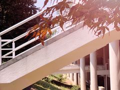 -清华大学-观畴园餐厅