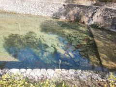 -温州永嘉书院