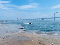 -大连星海广场音乐喷泉