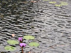 -星巴克(深圳前海企业公馆店)