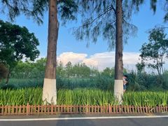 -东湖落雁景区