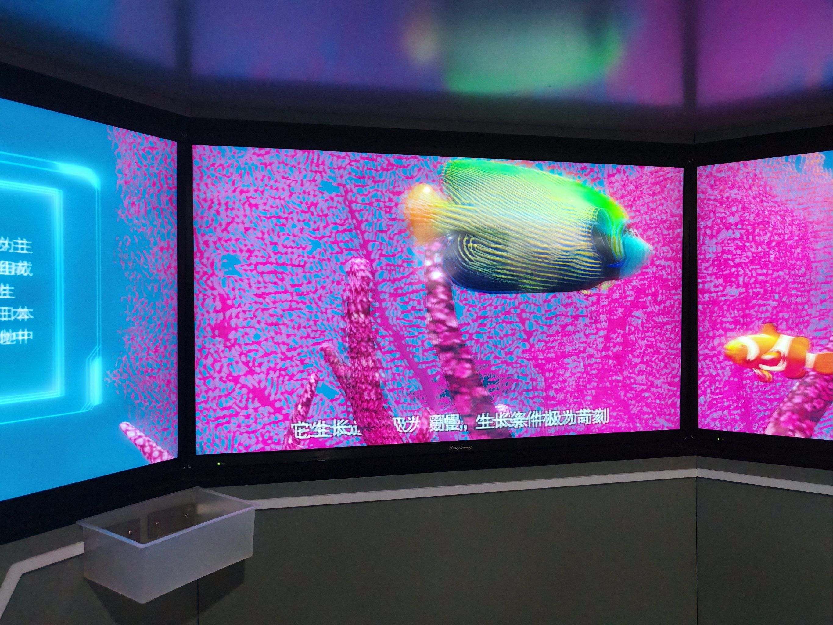 视觉艺术#全息投影暑假来一趟不需要预约