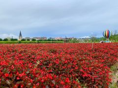 -美的鹭湖探索王国