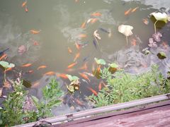 -静之湖度假区