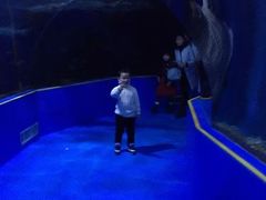 -台州海洋世界
