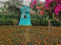 -南宫五洲植物乐园