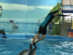 -尼莫海豚馆