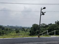 -佛手湖郊野公园