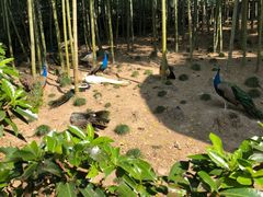-天目湖山水园