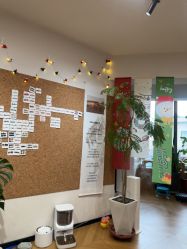 -沫儿·美甲美睫·半永久·皮肤管理