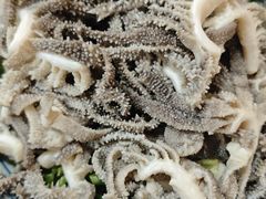 -门框胡同百年卤煮(鸟巢店)