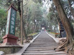 -子昂故里文化旅游区