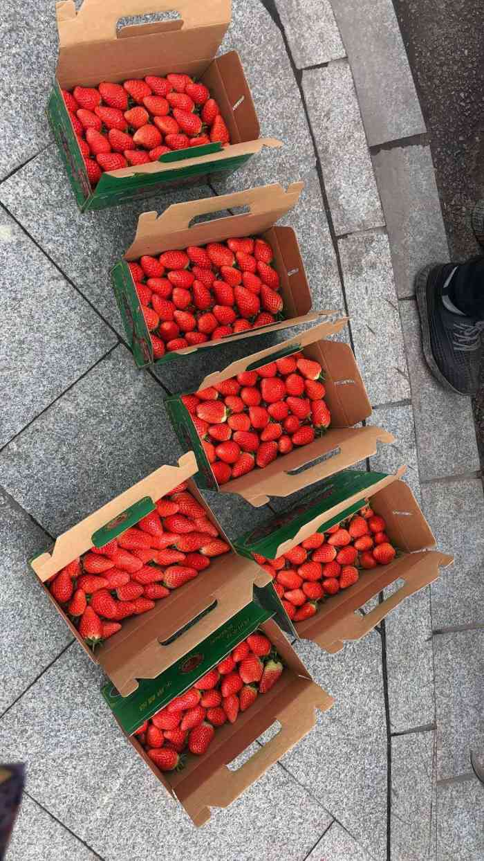 奉化尚田草莓图片