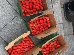 -尚田草莓姑娘白草莓采摘基地