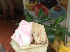-柠檬车露(卖草地店)