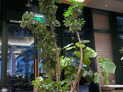 -gaga(金地威新中心店)