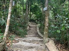 景点-海南热带雨林国家公园吊罗山景区