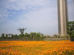 -汉江湾体育公园