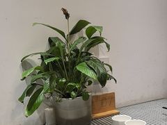 -蘇河湾·新鲁菜·泰山宴老店