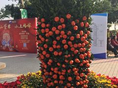 景点-香洲港码头