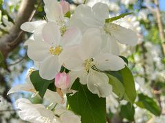 -野鸭湖国家湿地公园