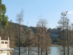 -顺峰山公园