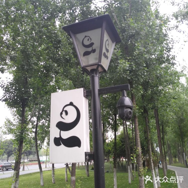 沿着三环的熊猫绿道骑行而来，并不远在华侨城对面