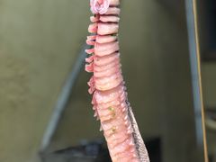 -土著渔匠·养生蝴蝶鱼(香樟路店)