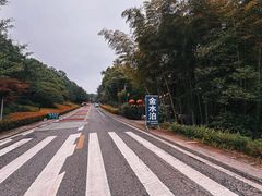 -金水泊山庄·花椒鸡(铁山坪店)