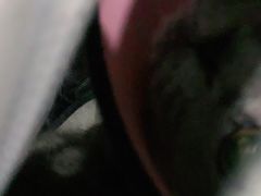 -福懋动物医院·犬猫全科·外科·重症科(杏林分院)