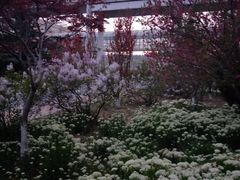 -大连外国语大学(旅顺校区)