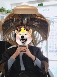 -巴黎拉斐派瑞美发沙龙