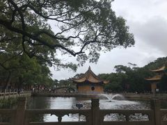 -普陀山慧济禅寺