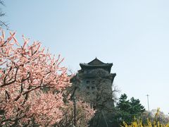 -北京明城墙遗址公园