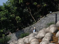 -忠山公园