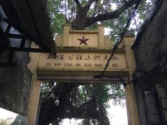 -小洲村