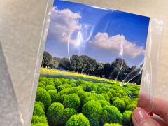 -海底捞火锅(奥森店)